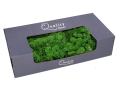mech_chrobotek_500g_zielony_moss_green_480322_2D_0001_large.png