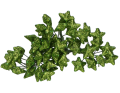 gwiazdki_brokatowe_myh194406-zielony_2D_0004_large.png