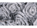 roze_brokatowe_myh190102-2_srebrne_2D_0004_large.png