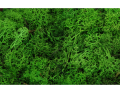 mech_chrobotek_500g_zielony_moss_green_480322_2D_0003_large.png