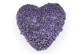77_186_2D_0006_large.png