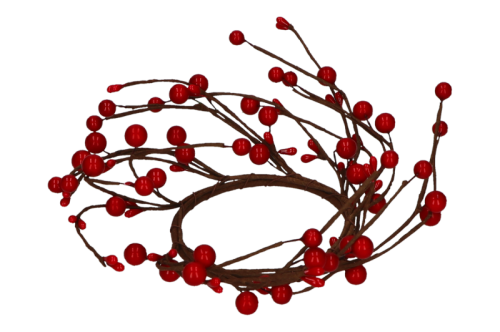 myh190156_czerwony.png