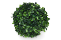 kula_bukszpan1_2D_0001_large.png