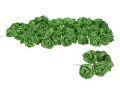 roze_brokatowe_myh190102-6_zielone_2D_0002_large.png