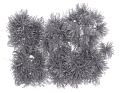 myh195871_kolki_jezyki_2D_0003_large.png