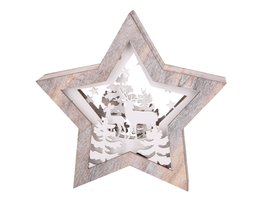 Gwiazda_swiecaca_E17-17A5004_2D_0002_large.png