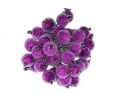 jarzebina_oszroniona_myh194175_fiolet_2D_0002_large.png