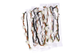 myh196020_2D_0001_large.png