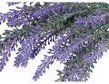 lawenda_myh192112_galazka_2D_0002_large.png