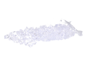 kamyki_akrylowe_myh192571-9_przezroczyste_2D_0001_large.png